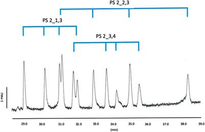 Separation of isobaric phosphorothioate oligonucleotides in capillary electrophoresis: study of the influence of cationic cyclodextrins on chemo and stereoselectivity